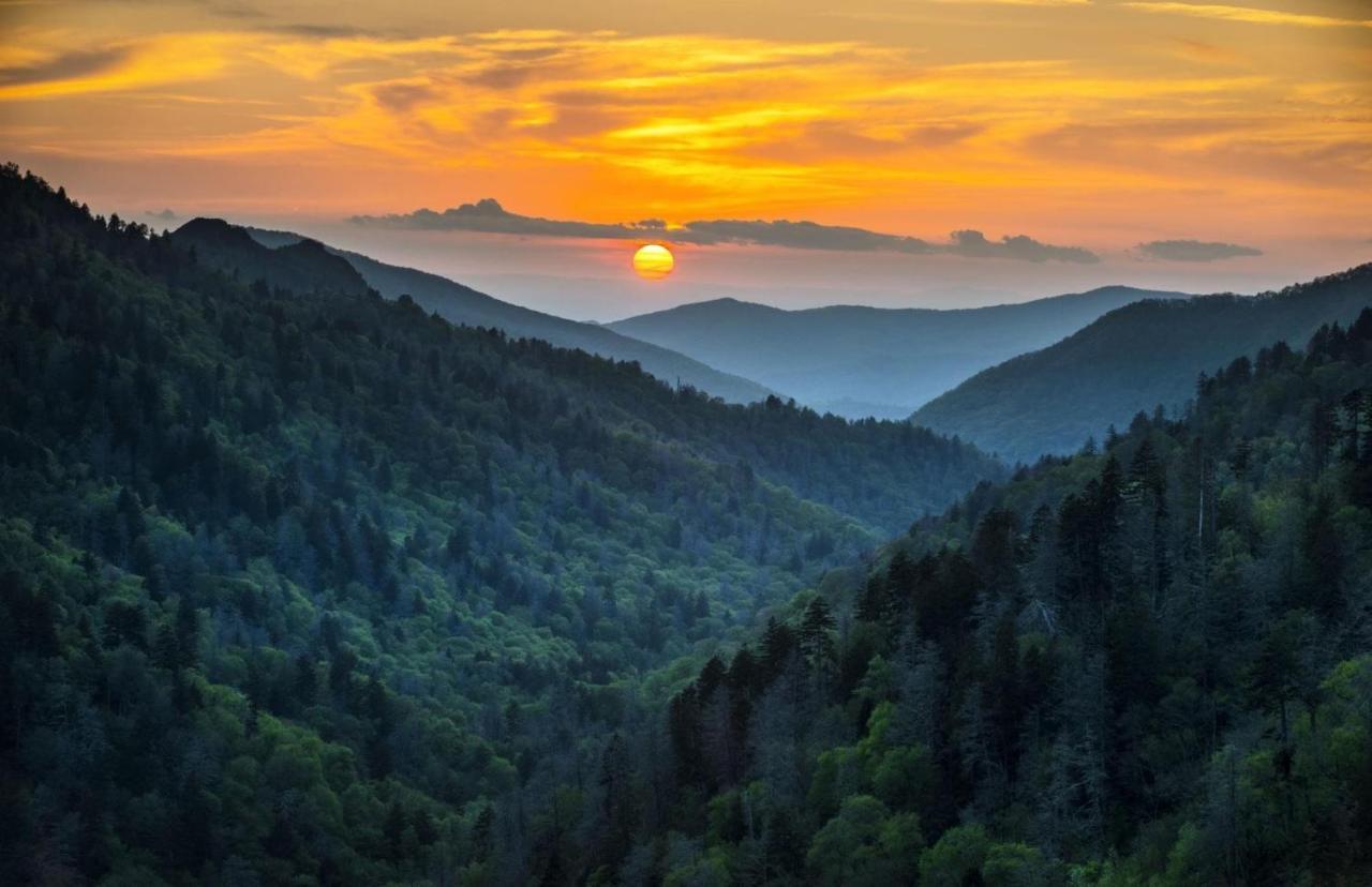 Smokies Inn - New Linens & Ultrafast Wifi - Friendliest Hospitality Guaranteed! Кодак Экстерьер фото